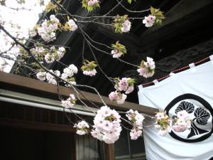 正覚寺