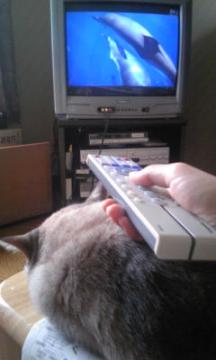 リモコンの・・・2