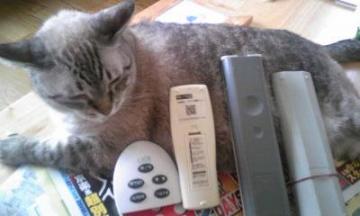 リモコンの・・・3