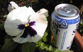 ジャイアントパンジー