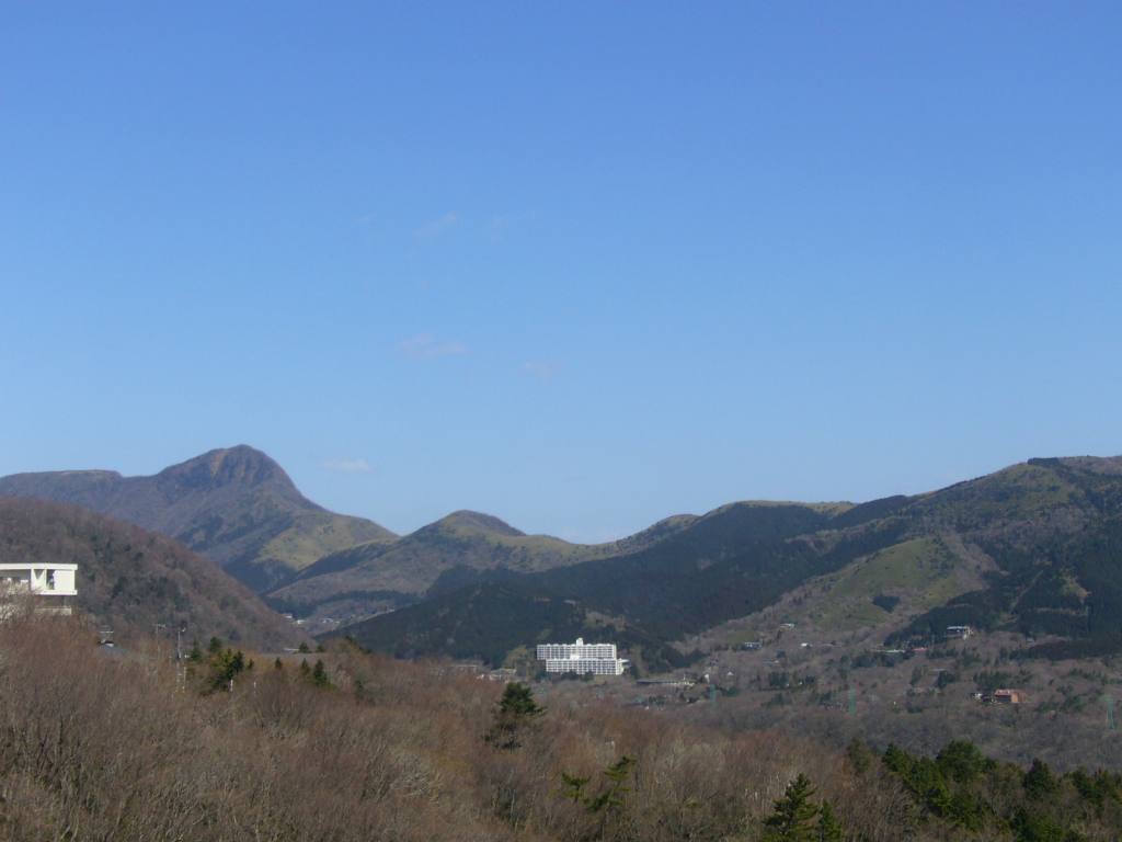 P1020388.jpg