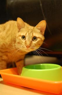 DSC_0111_Medium_QVga.JPG