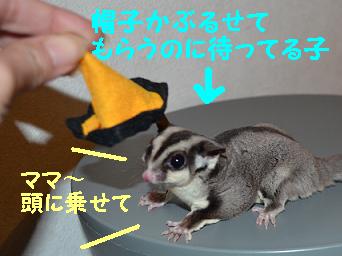 ママ早く～