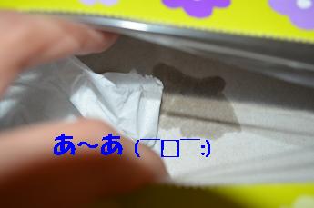 やっちゃった・・・