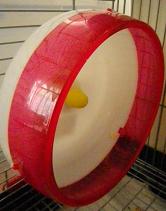 何がちがうの？