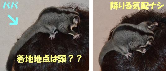 着地したのは？