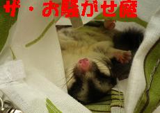 ザ・お騒がせ魔