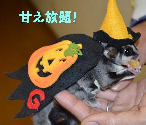 甘えたい年頃？