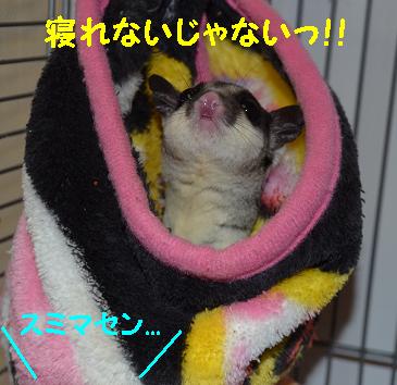 ちょっとぉ！！！