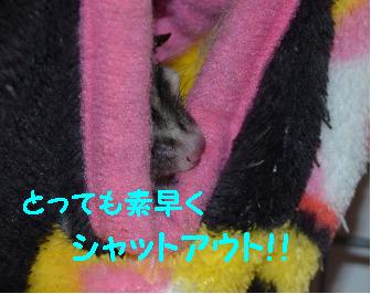 ママ悲しいぃ～～～