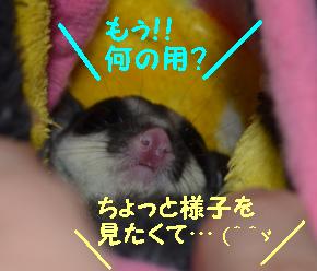 ちょっとぉ！！！！