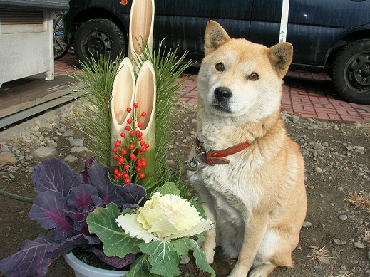 DSCN0449.JPG