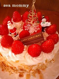 クリスマスケーキ2007