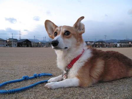 大好きな公園で