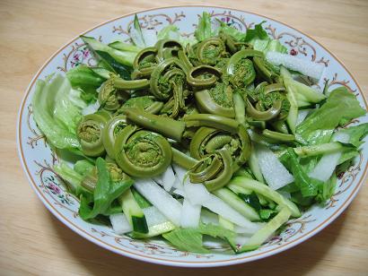 こごみサラダ