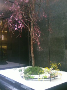 ＭＩＫＩＭＯＴＯ