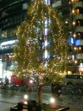 Bunkamuraまえのイルミネーション