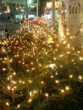 Bunkamura前のイルミネーション