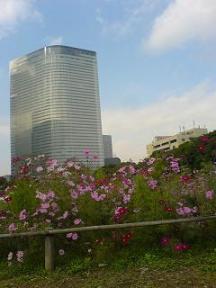 浜離宮恩賜公園