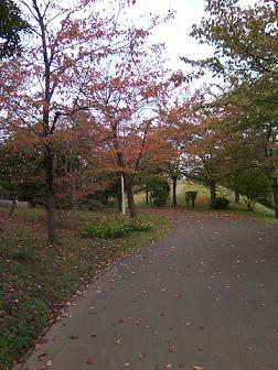 紅葉の散歩道