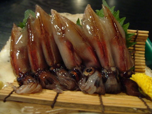 2006_04260178.JPG