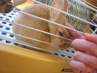 気持ちいい～～♪