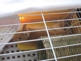 でろ～ん（笑）