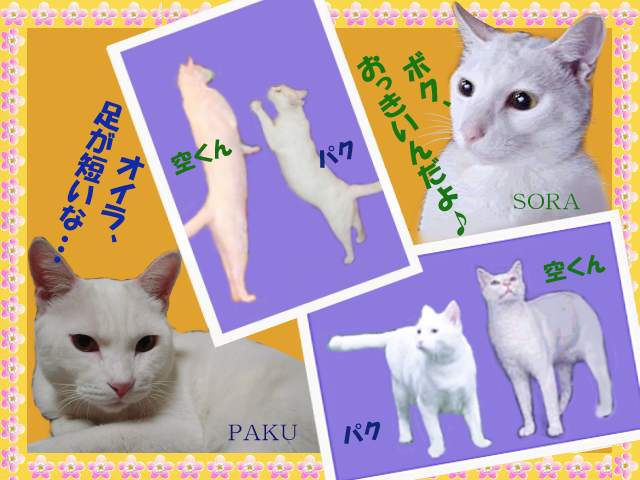 空くんとオイラ