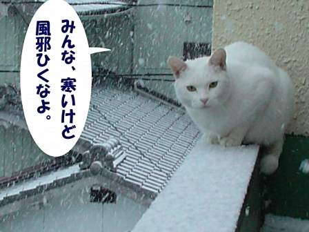 １２月１８日ＡＭ７：３１