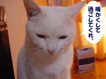 １２月１８日ＡＭ８：３０