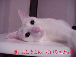 ジュエリー空くん