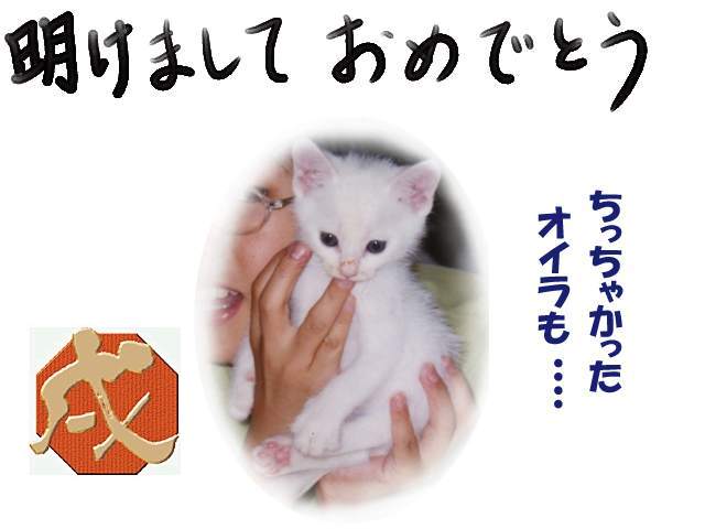 今年もヨロシクなのだ１