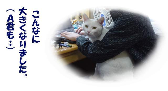 今年もヨロシクなのだ２