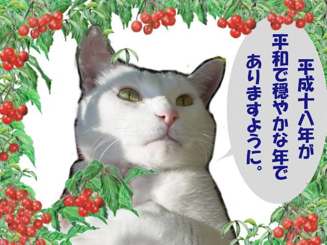 今年もヨロシクなのだ４