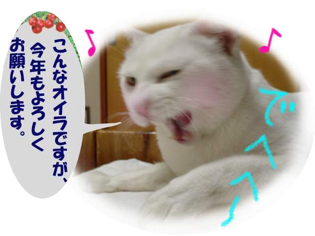 今年もヨロシクなのだ５