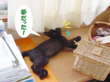 夢１.JPG