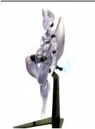 メガスカルプチャ　foｘ