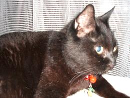 ちびどこ見てるの？？？