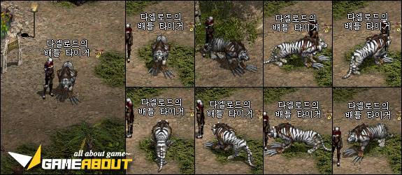 tora2