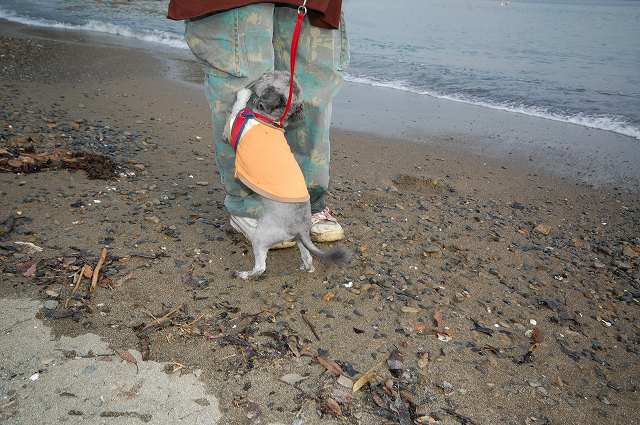 抱っこしての甘えんぼ.jpg