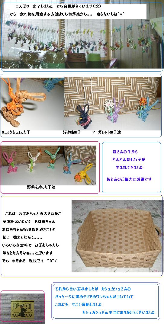 うさぎさんが生まれています