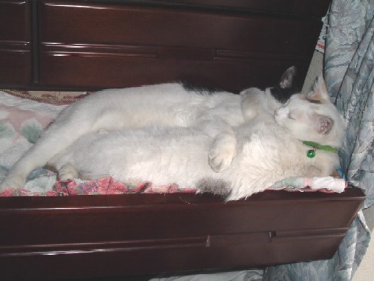 シーコ＆よし2007.4.14