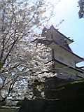 05-04-16_09.jpg