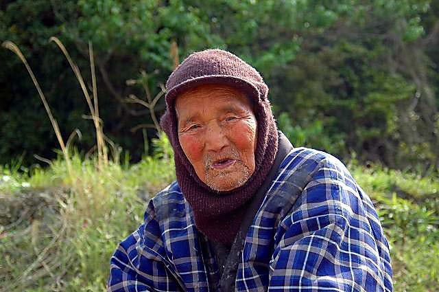 100歳のご老体