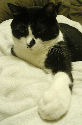 091013_まどろみ２