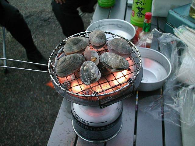 あさり