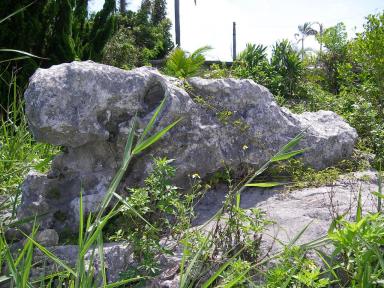 座波シ－サー３