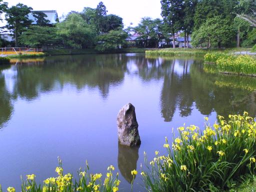 称名寺の池