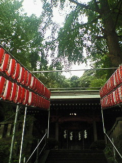 神社の階段上がって