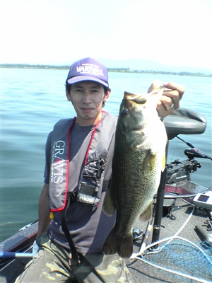 50.5cm